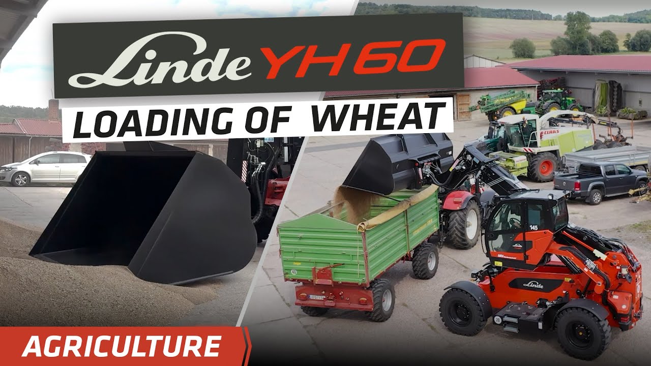 Wheat loading | Linde YH60 at Agrarprodukte Rottdorf e.G.