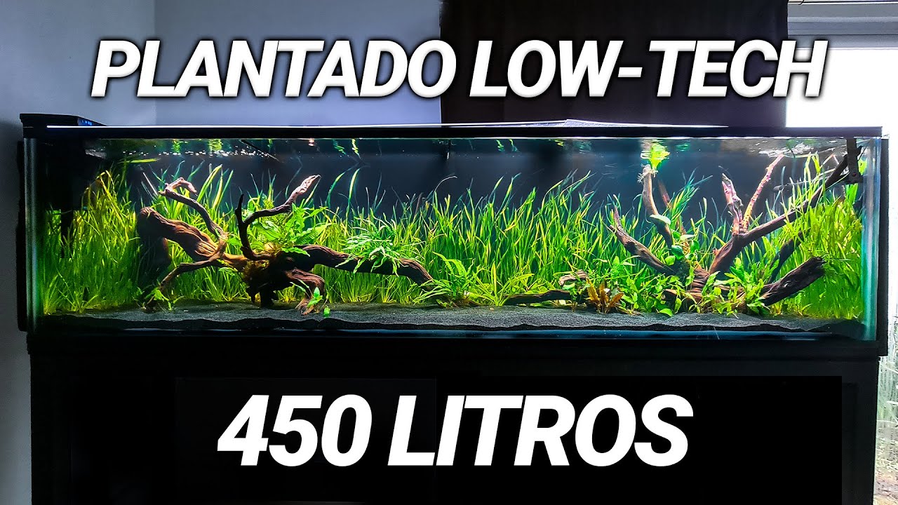 MI NUEVO ACUARIO DE 2 METROS (MONTADO EN 4 HORAS)