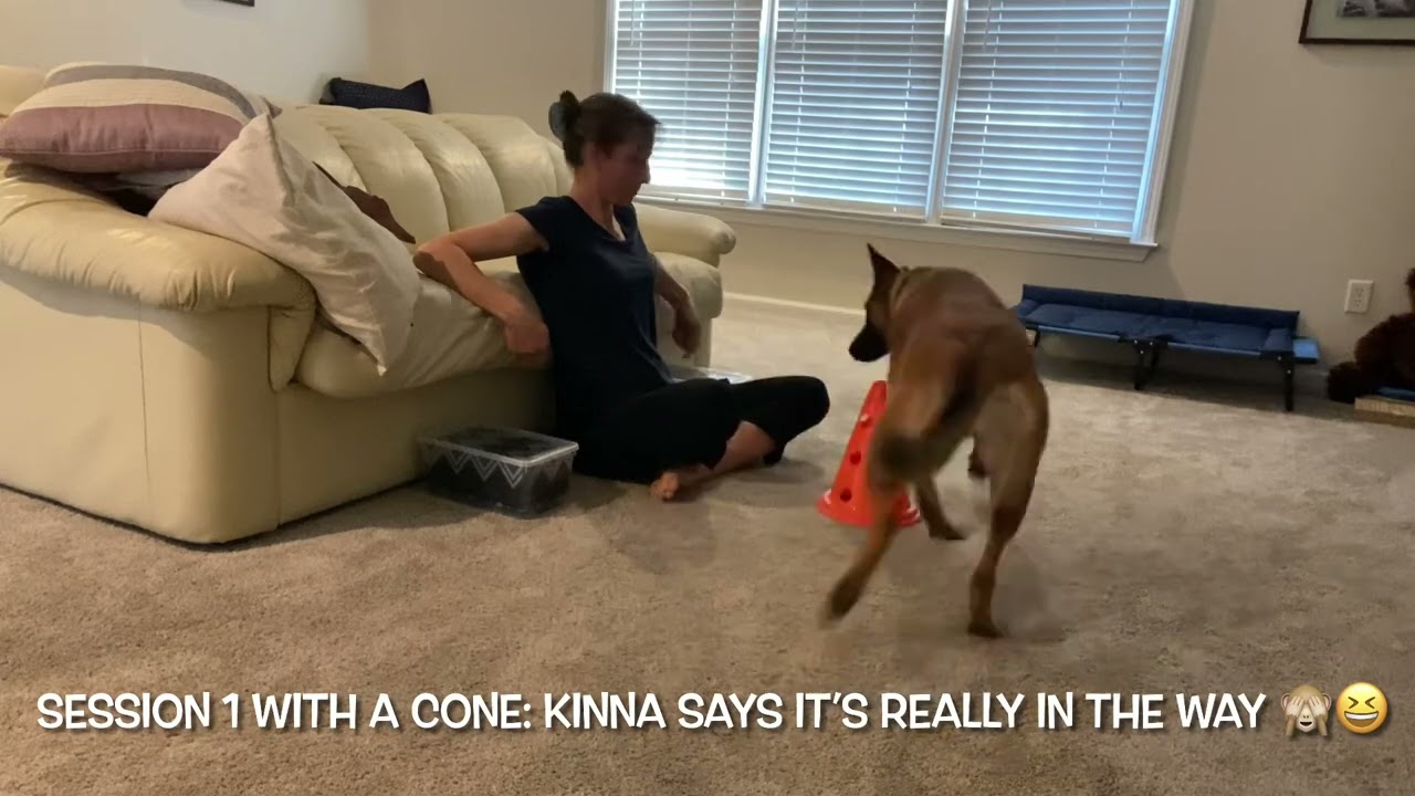 Vito&rsquo;s Thinking Game With Cone