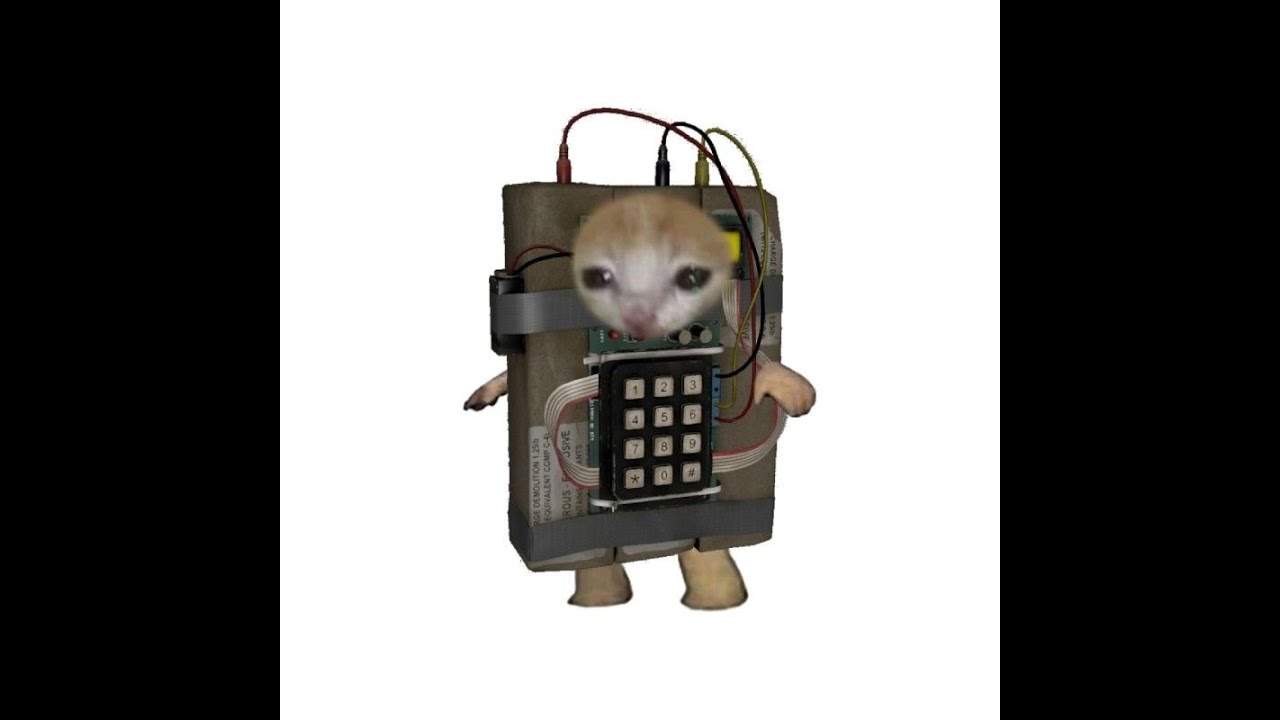 plug walk