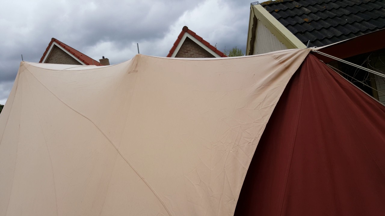 De Waard Roerdomp