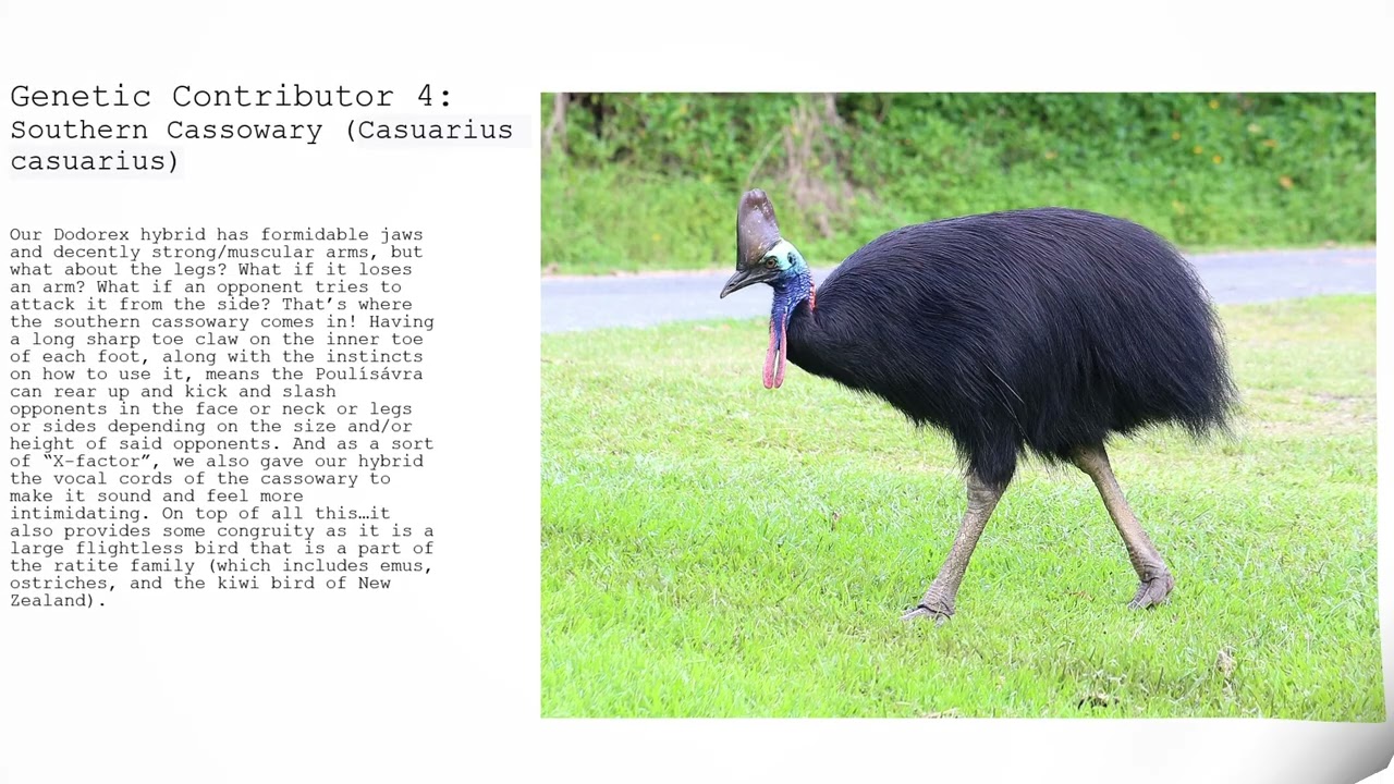 A Fictional Beast Made Real (Great Hybrid Tournement) @ValusDreadmir