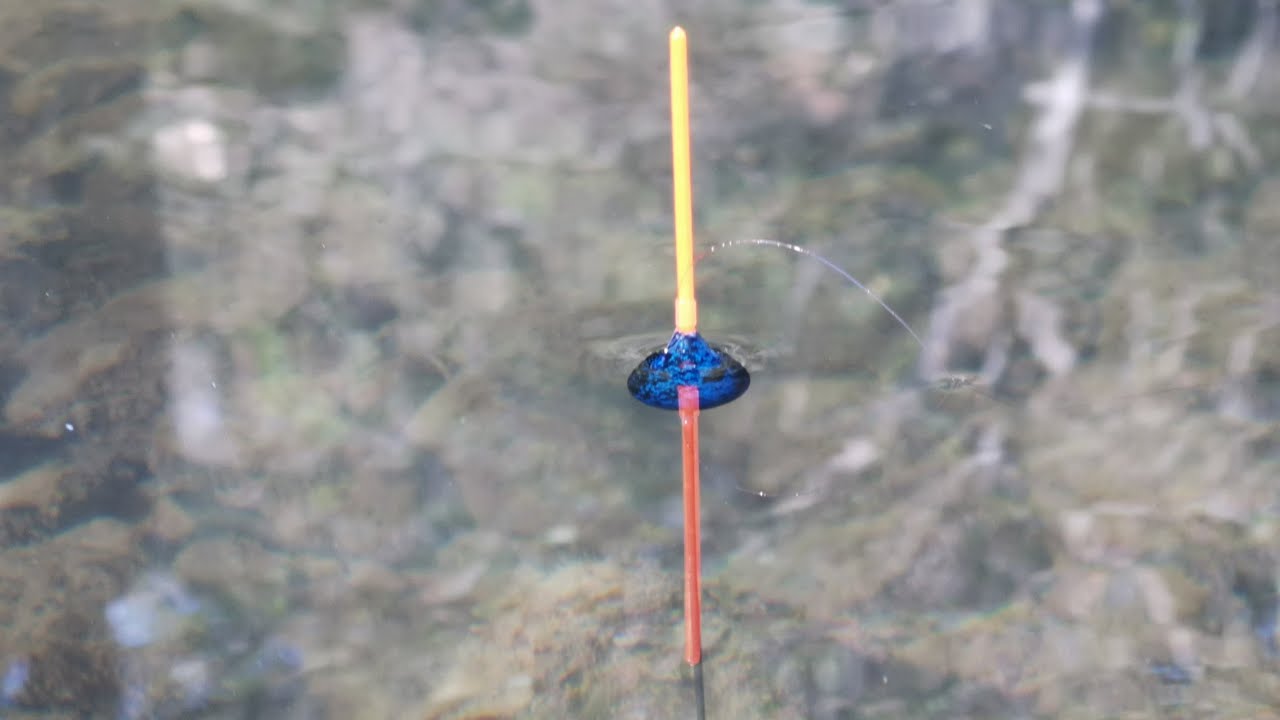 Pecanje na anker ( Dunav ) Pecanje Skobalja na plovak