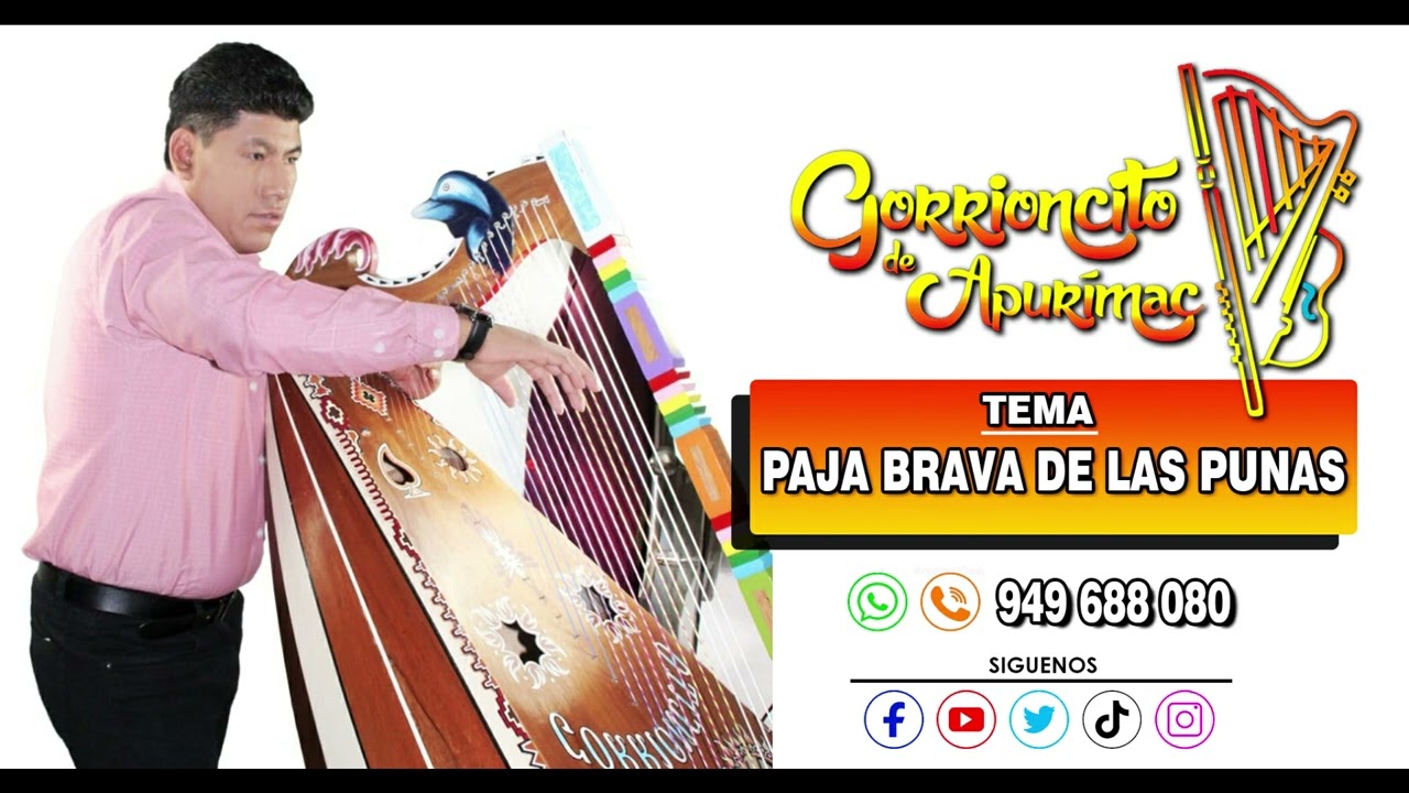 Paja Brava de las Punas -  Gorrioncito de Apurimac