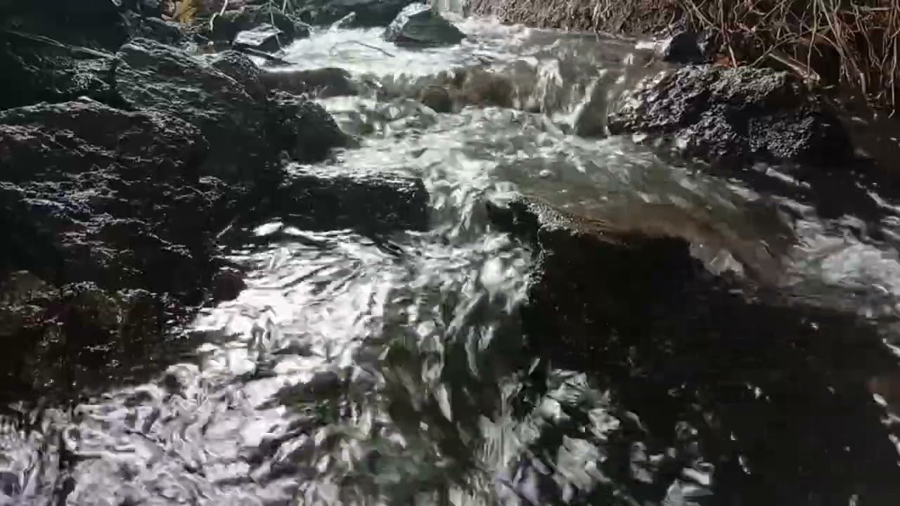 Gentle Water Stream Sounds for Brain Therapy & Deep Relaxation