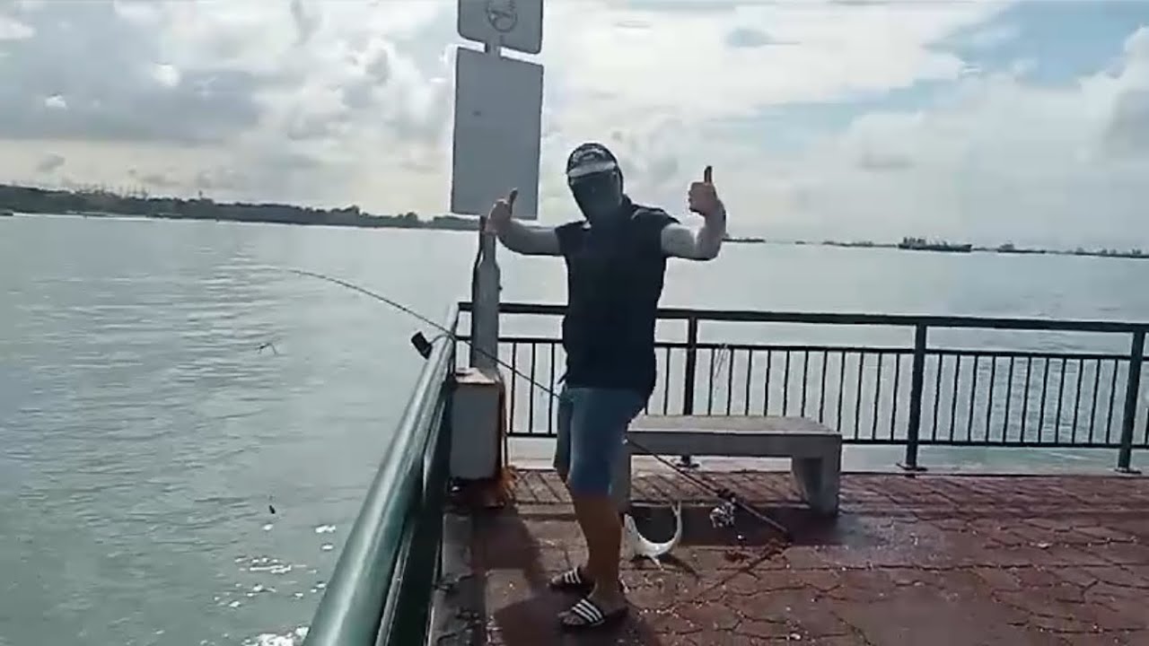 Bedok Jetty, still many fish