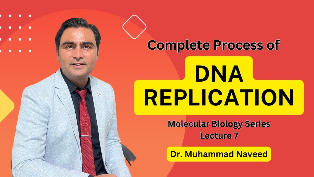 DNA Replication | Complete process | English Subtitles | Lecture 7 | Dr. Muhammad Naveed