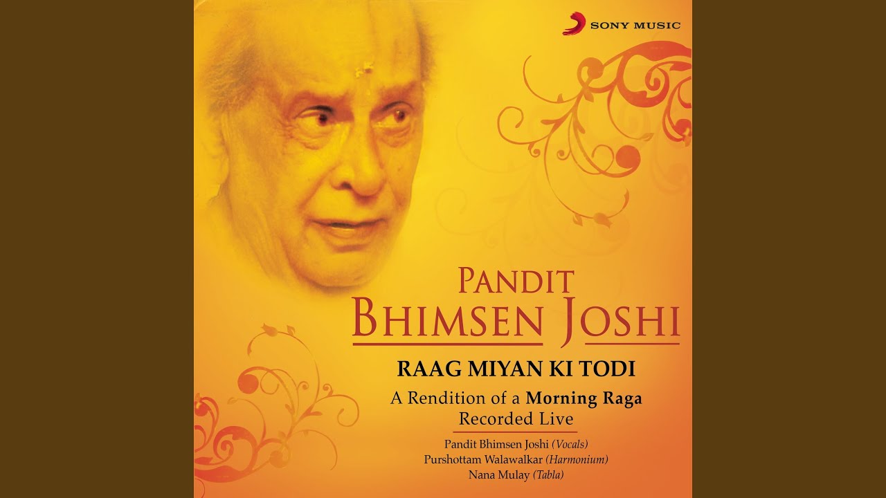 Raag Miyan Ki Todi (Live)