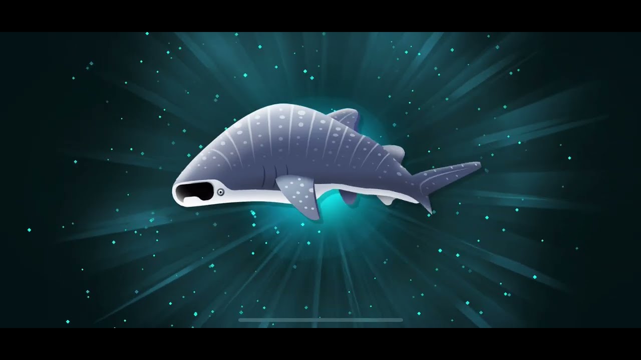 Whale Shark - creatures of the deep