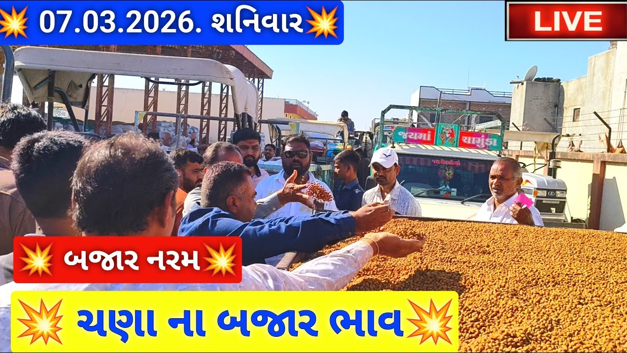 🔴live ચણા ના ભાવ આજના જસદણ માર્કેટિંગ યાર્ડ, chana auction price today,March 7, 2026