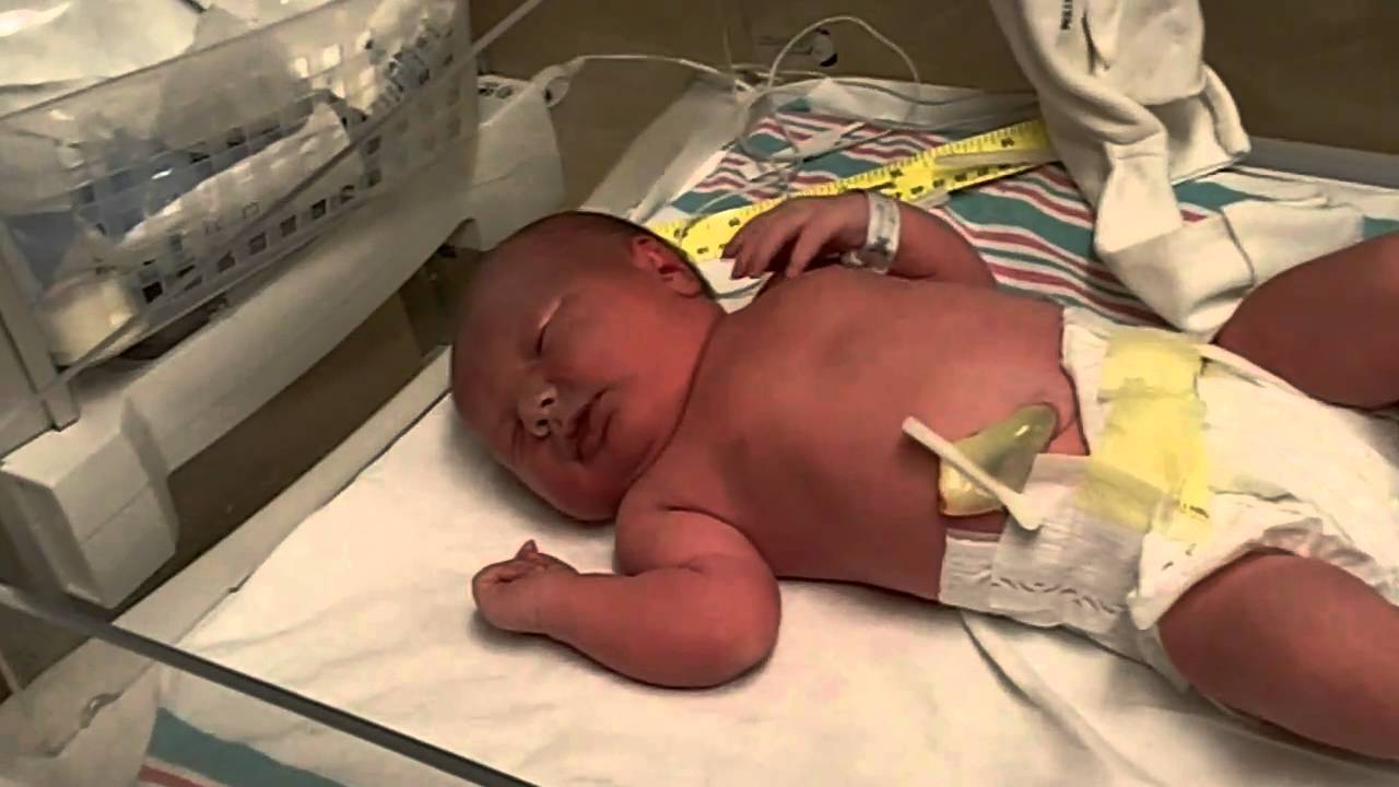 Birth of a Titan