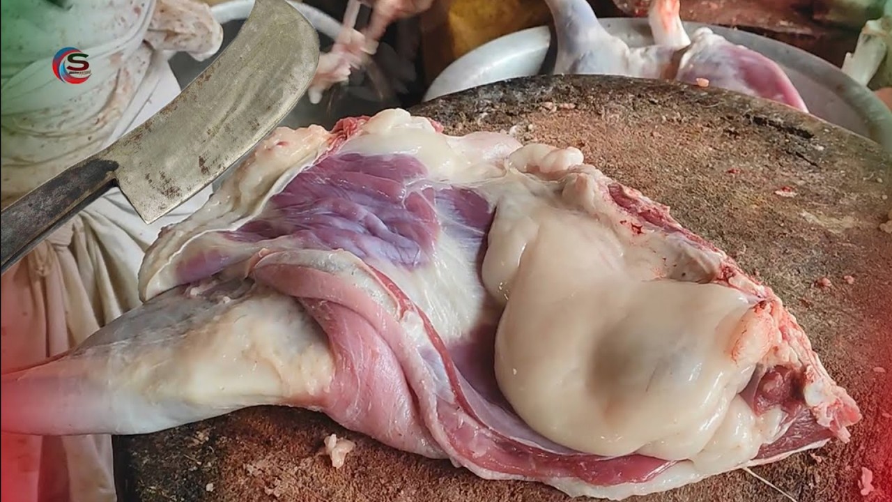 Мастерская разделки головы буйвола от опытного мясника | Удивительная разделка головы буйвола |