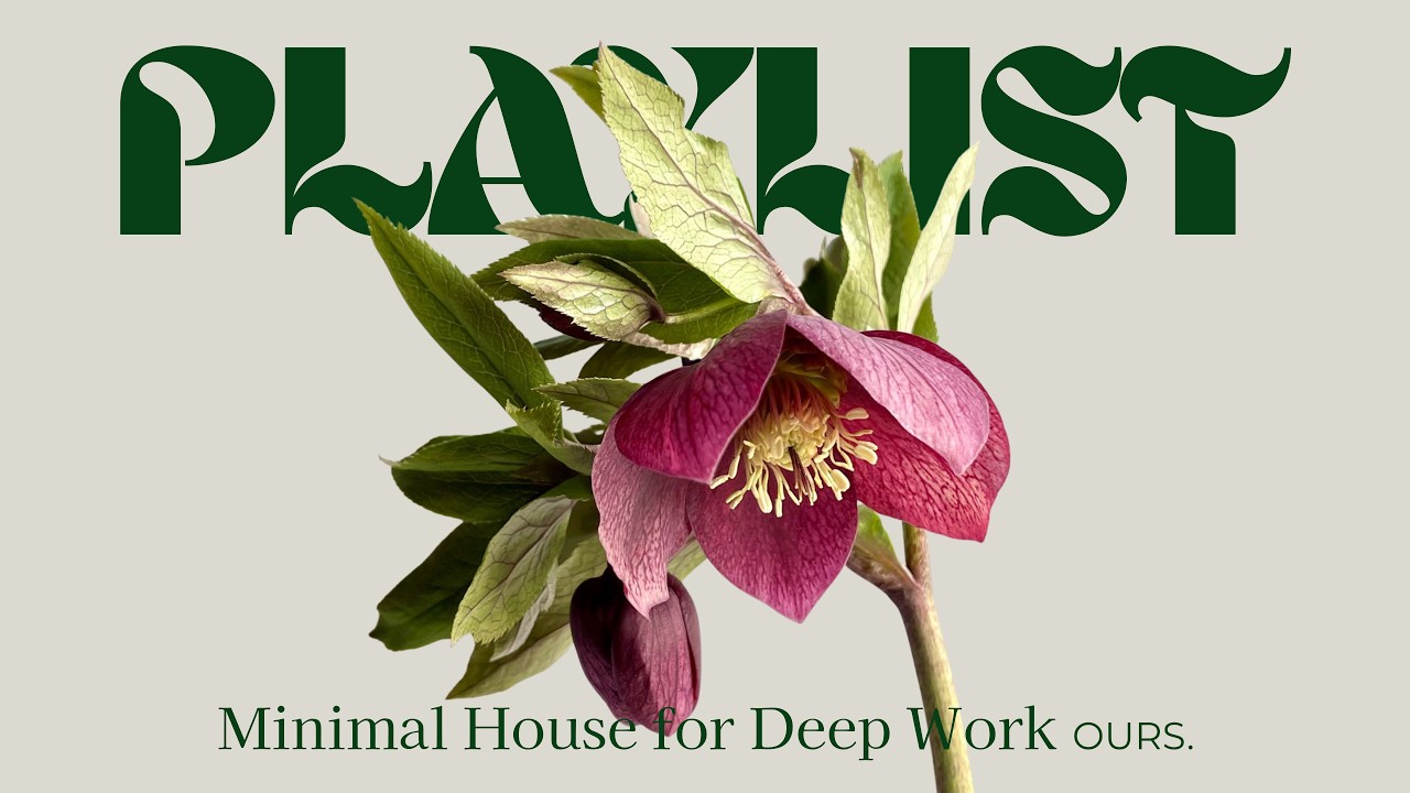 Deep Focus Minimal House | Chill Vibes for Work & Study