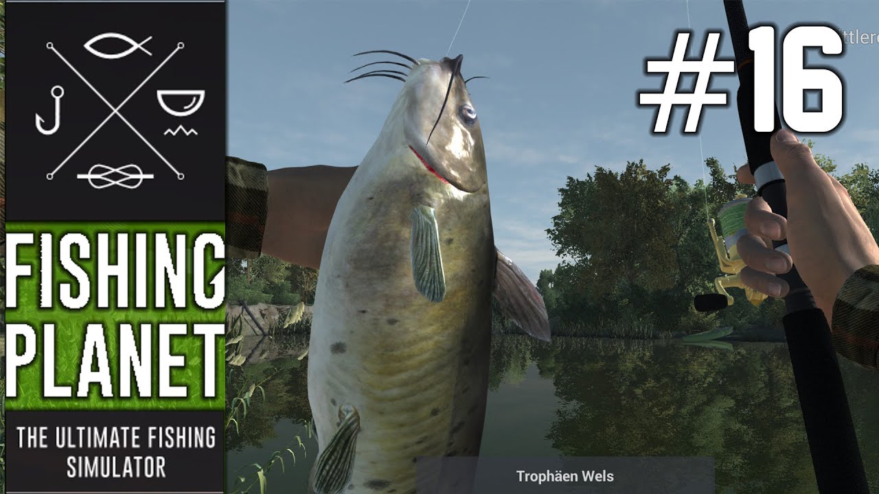 FISHING PLANET #16 - Trophäen Welse im Mudwater River || Let's Play Fishing Planet || German || HD