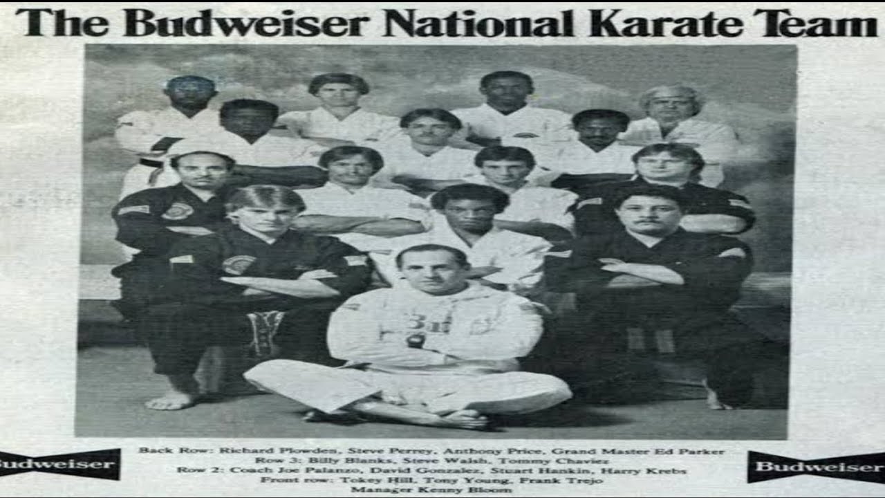 point fighting vs wkf (budweiser national karate team vs british wuko champions) 1980s