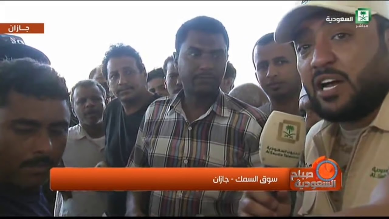 نقل مباشر من سوق السمك جازان