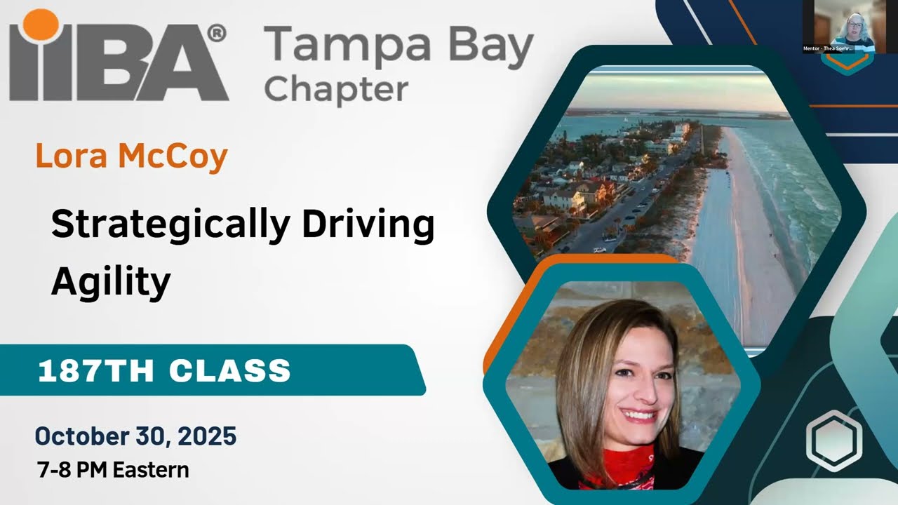 20251016 Tampa Bay IIBA SDLC Simulation Executive Demo And Rewards