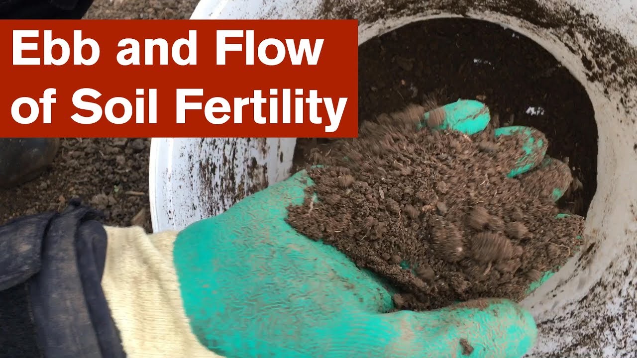 Ebb and Flow of Soil Fertility in the Polytunnel Garden