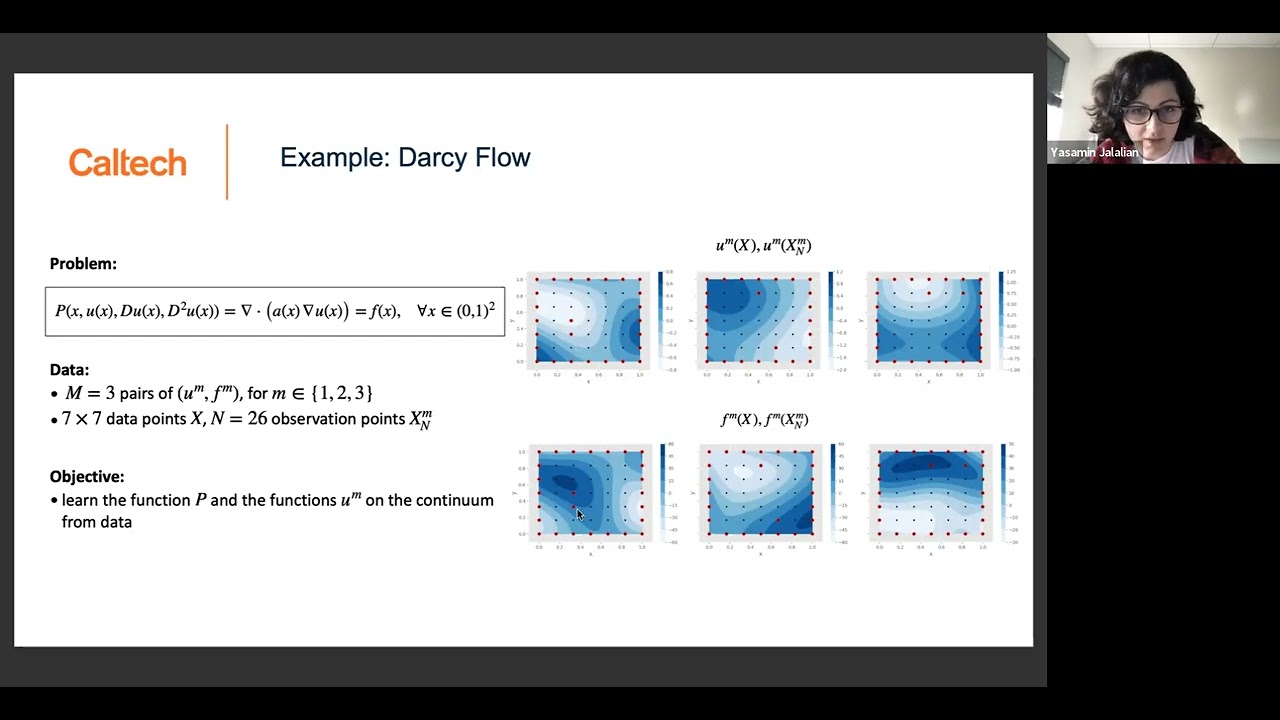 Yasamin Jalalian: Data-Efficient Kernel Methods for PDE Discovery