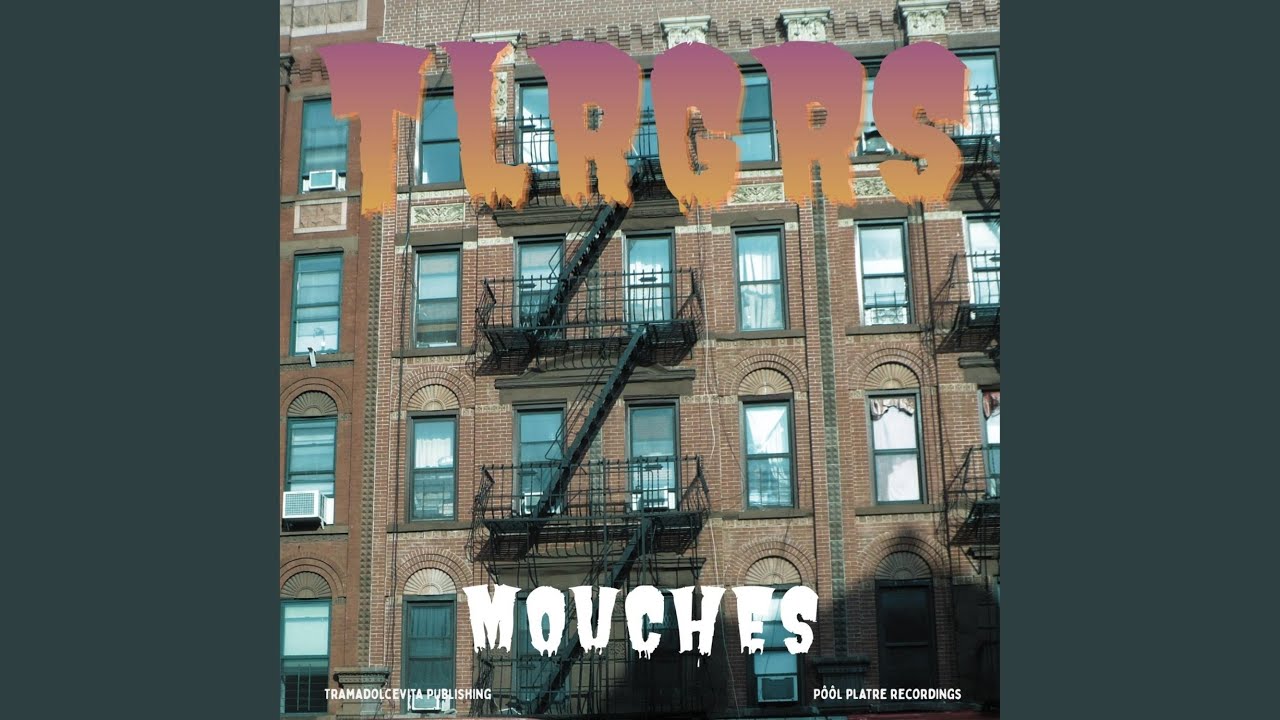 Mouches