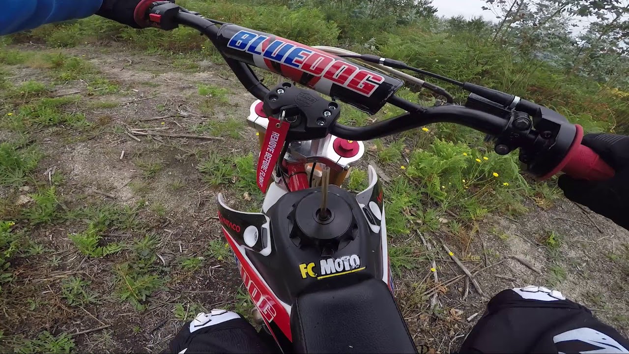 VOLTA NO MATO DE PIT BIKE
