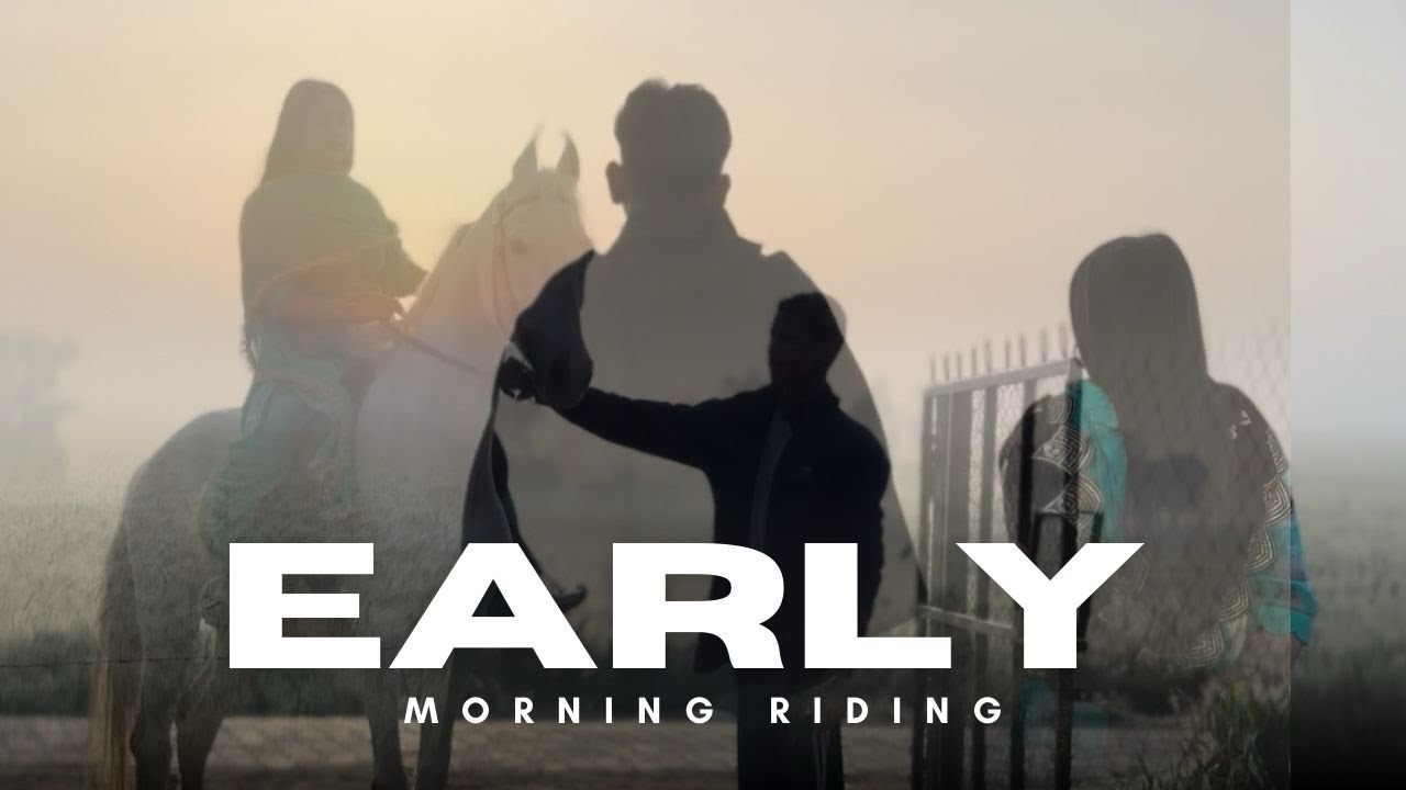 Swer di horse riding || Marwari horse riding couple || horse riding lover || Majjuke horse riding ||