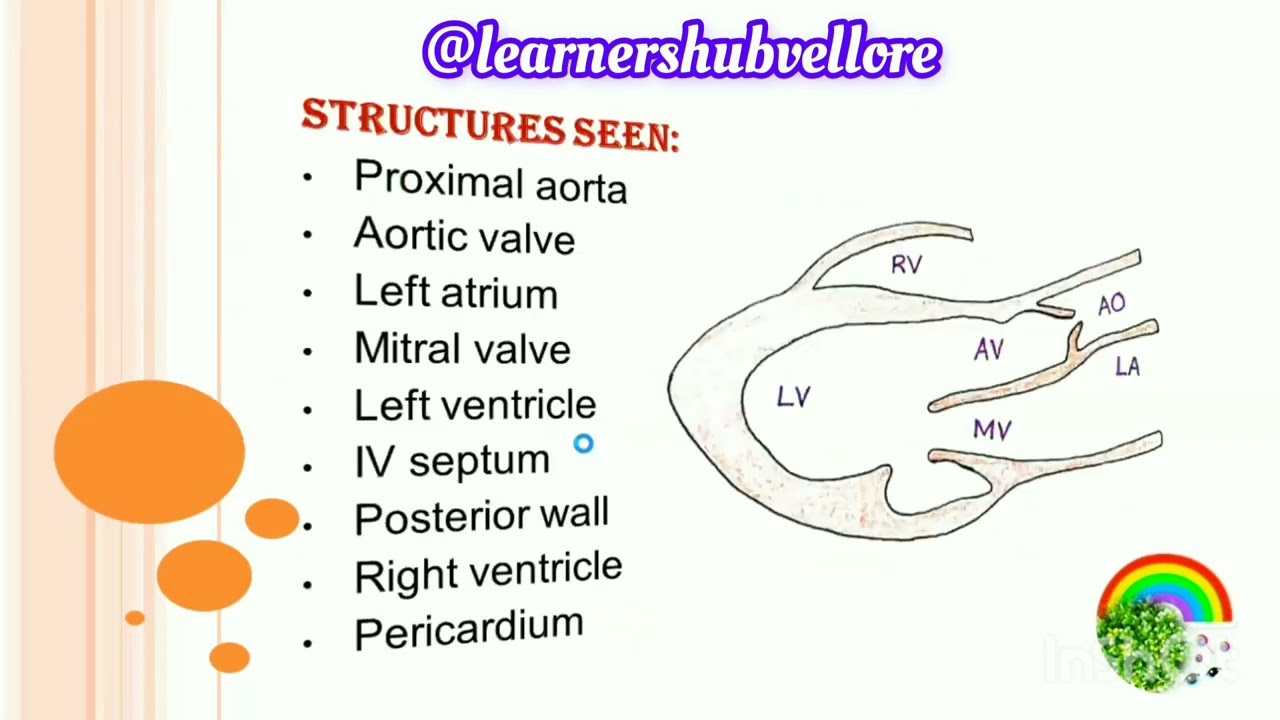 PARASTERNAL LONG AXIS VIEW | STANDARD ECHO WINDOWS (PART-2) | ECHOCARDIOGRAPHY