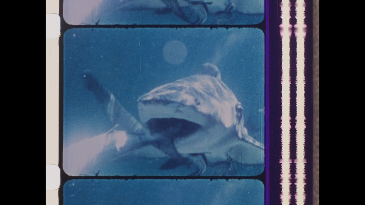 The Unseen World - Part 3 - Oceans of Space - 16mm - Mono