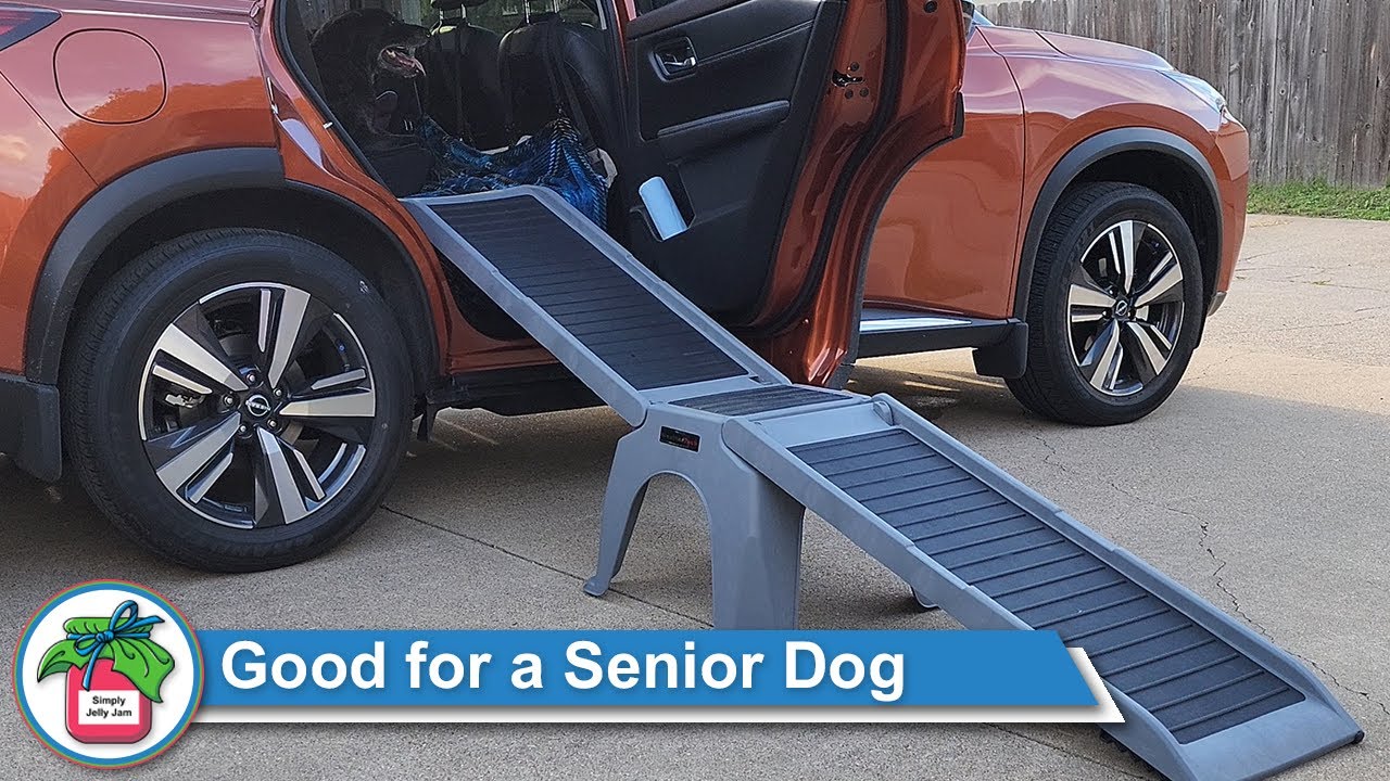 WeatherTech EasyRamp for a Senior Dog