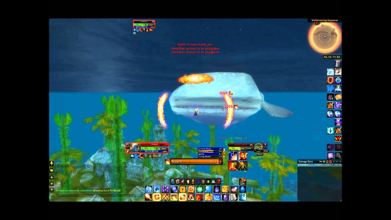 Fire Mage Whale Shark Solo