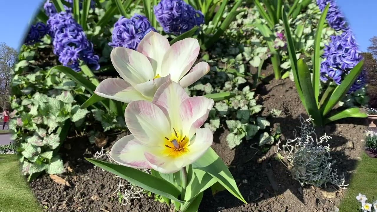 London Kew Garden 2022