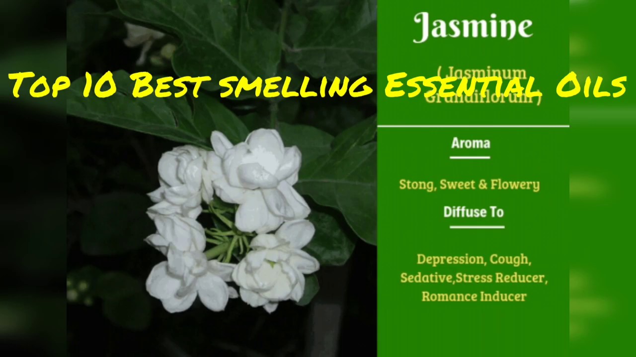 Top 10 Best Smelling Essential Oils #diffuser#perfume#uses#hairspray