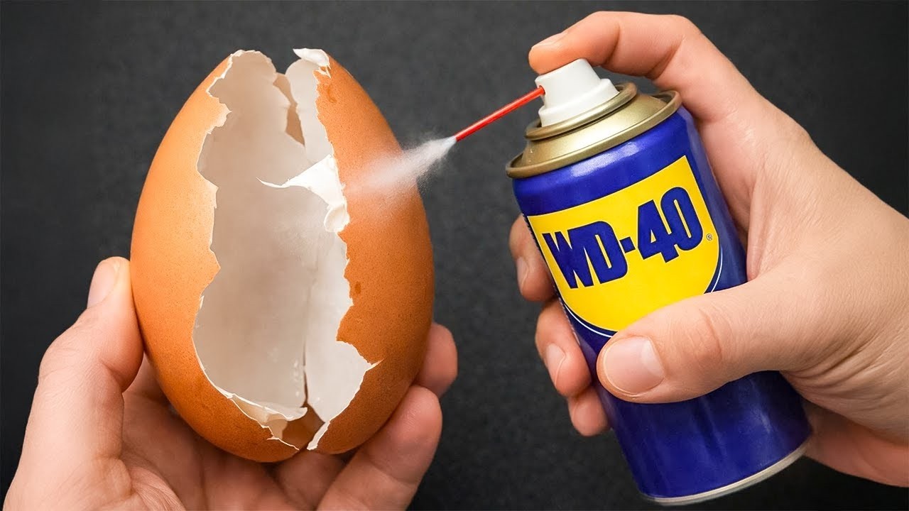 Смешайте WD40 с яичной скорлупой и зарабатывайте деньги 😱 Миллиарды людей не знают этого секрета