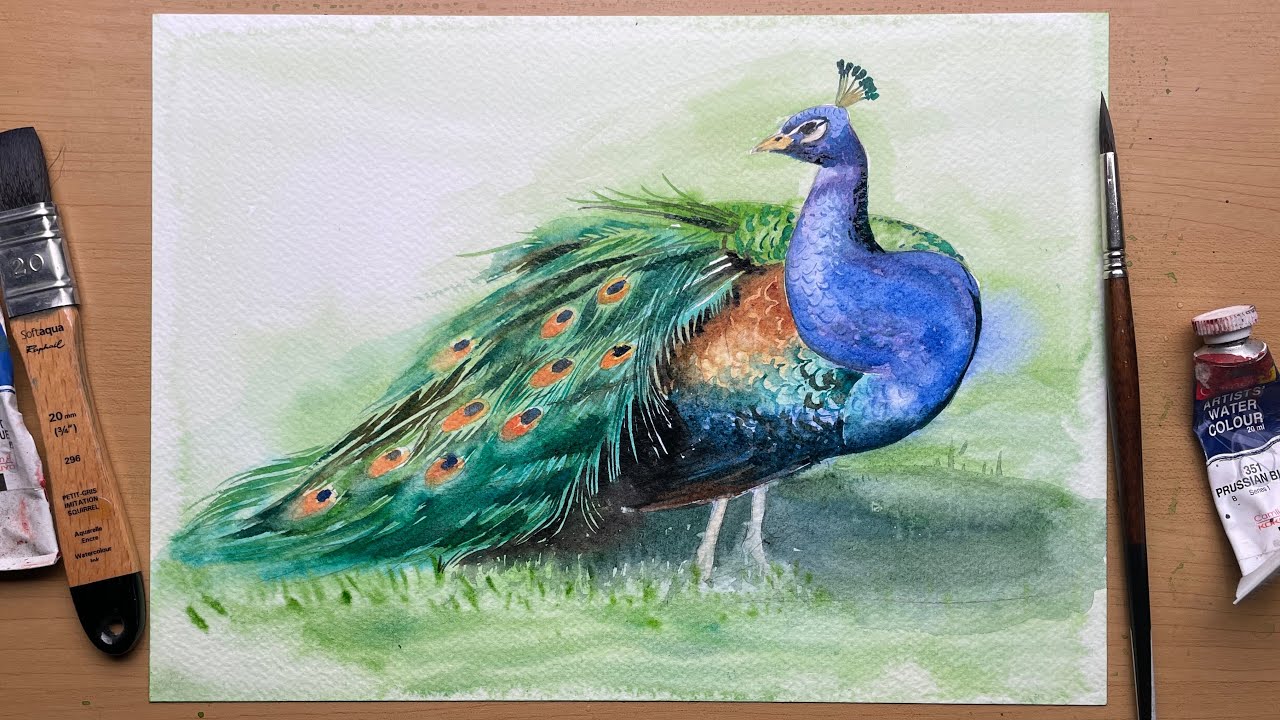 How to draw a peacock | Watercolour painting