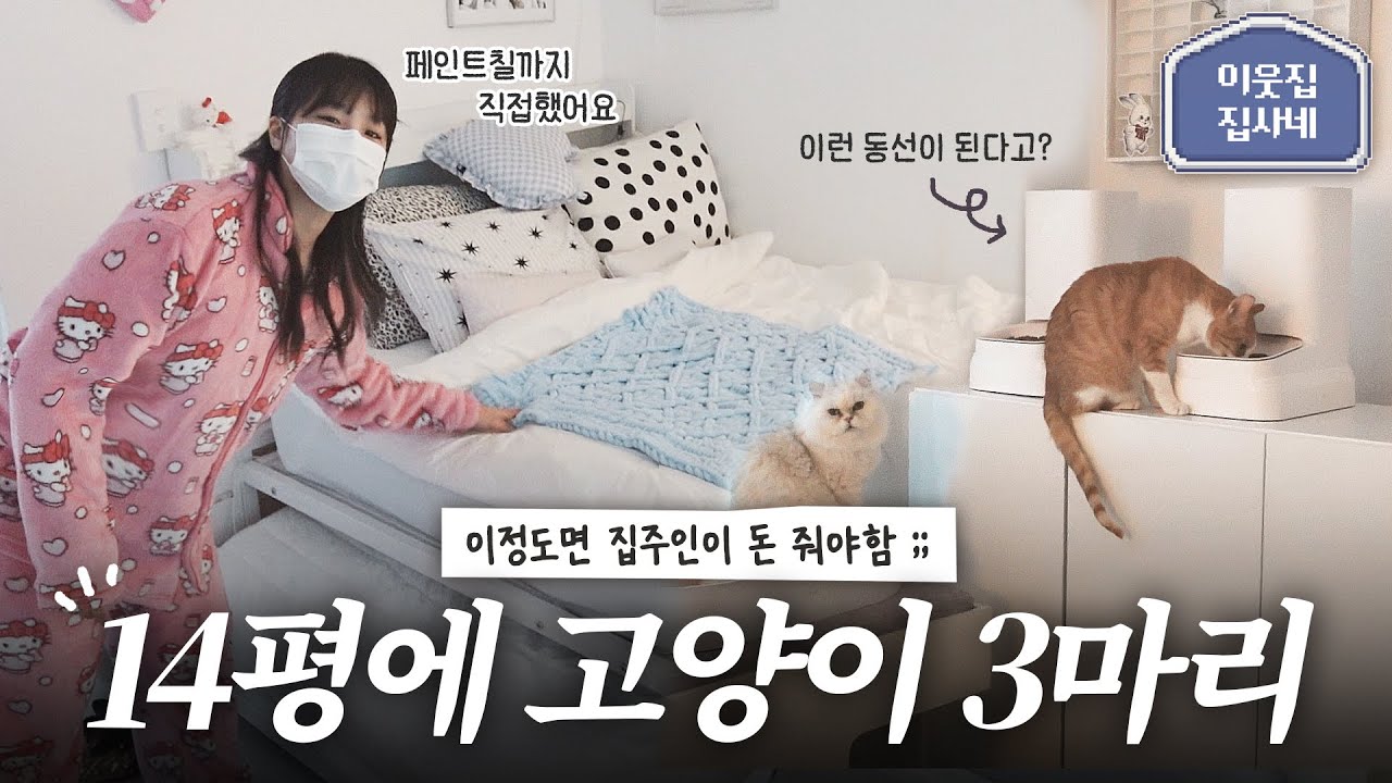 급식기를 왜 거기에 놔요..? 14평 냥플루언서의 집 룸투어