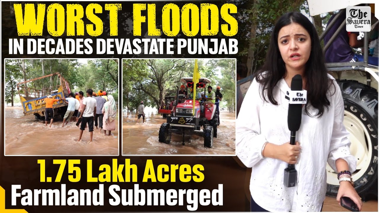 Worst Floods In Decades devastate Punjab; 1.75 Lakh Acres Farmland Submerged