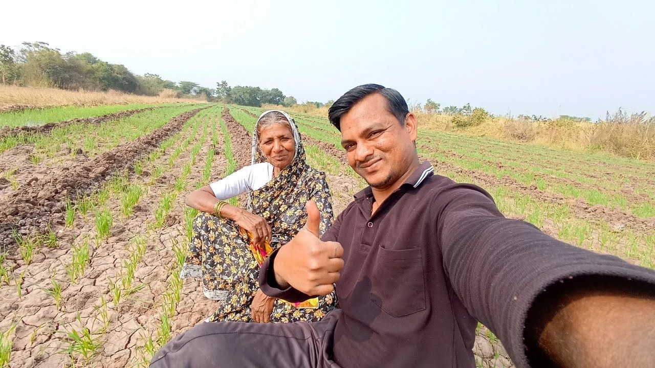 खत टाकून 🌾 गव्हाला तिसरं पाणी 😀 | Marathi Vlog