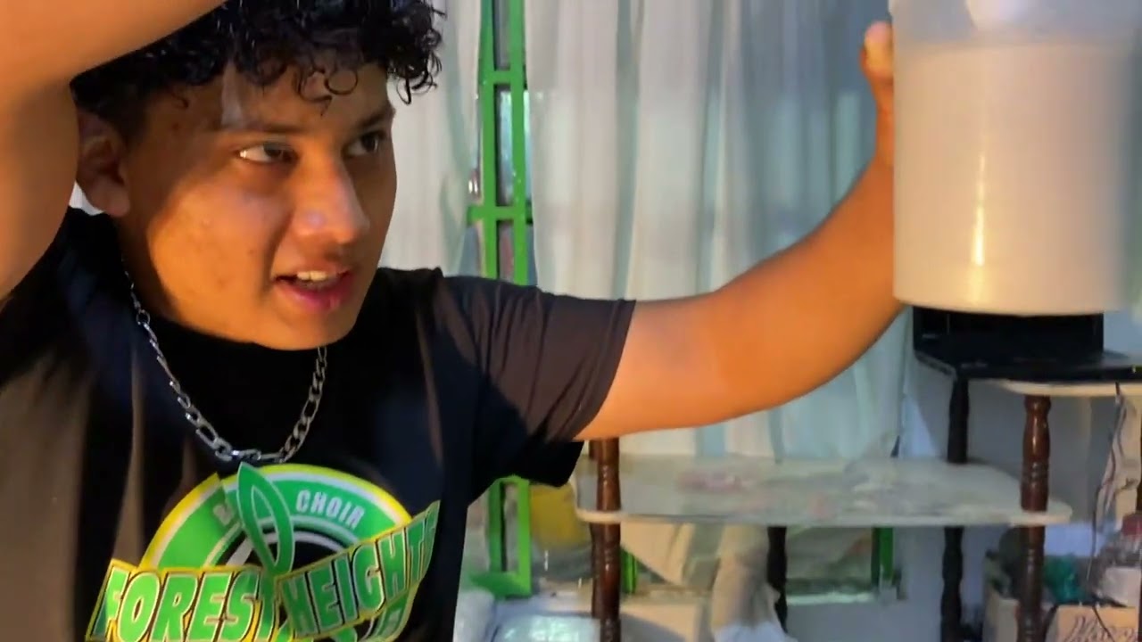 Vendas de yeso