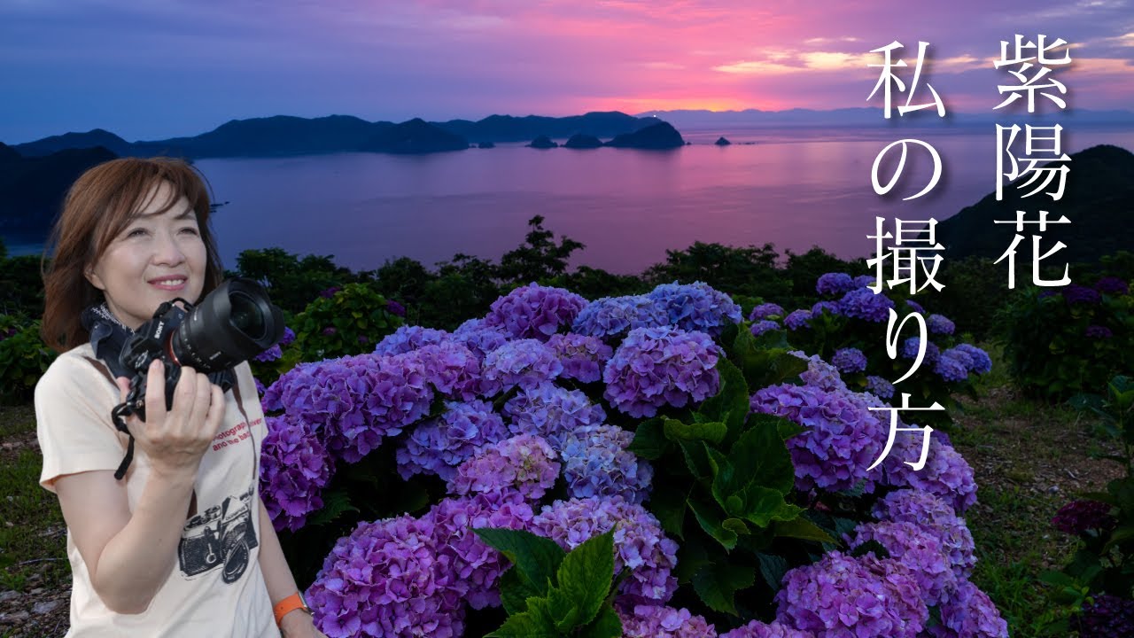 「朝日と紫陽花」はハーフND使います♬そのほか私の撮影法