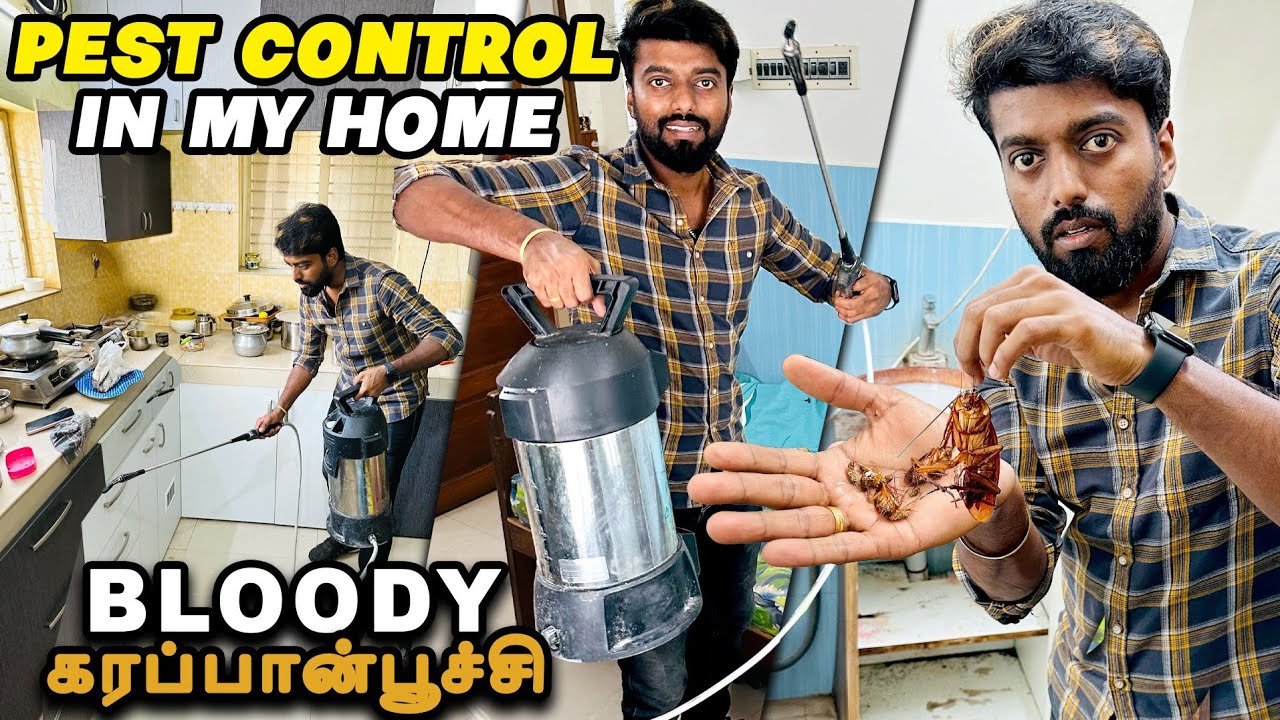 BLOODY COCKROACH 🪳 Pest Control in My Home 🏡 Killing all கரப்பான் பூச்சி | DAN JR VLOGS
