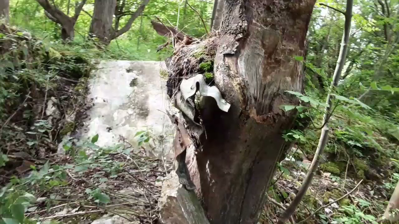 Sundon Pit, secret tunnels, cryptid rumours.