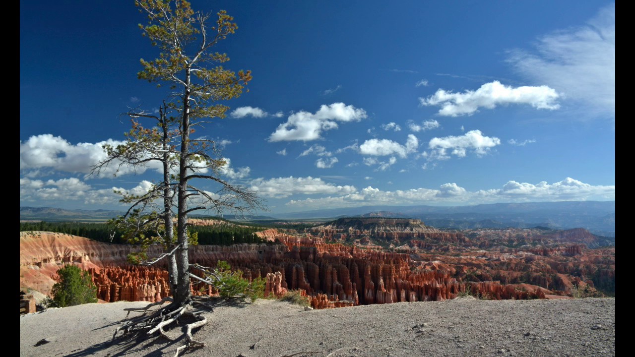 2015 USA West Nature Display