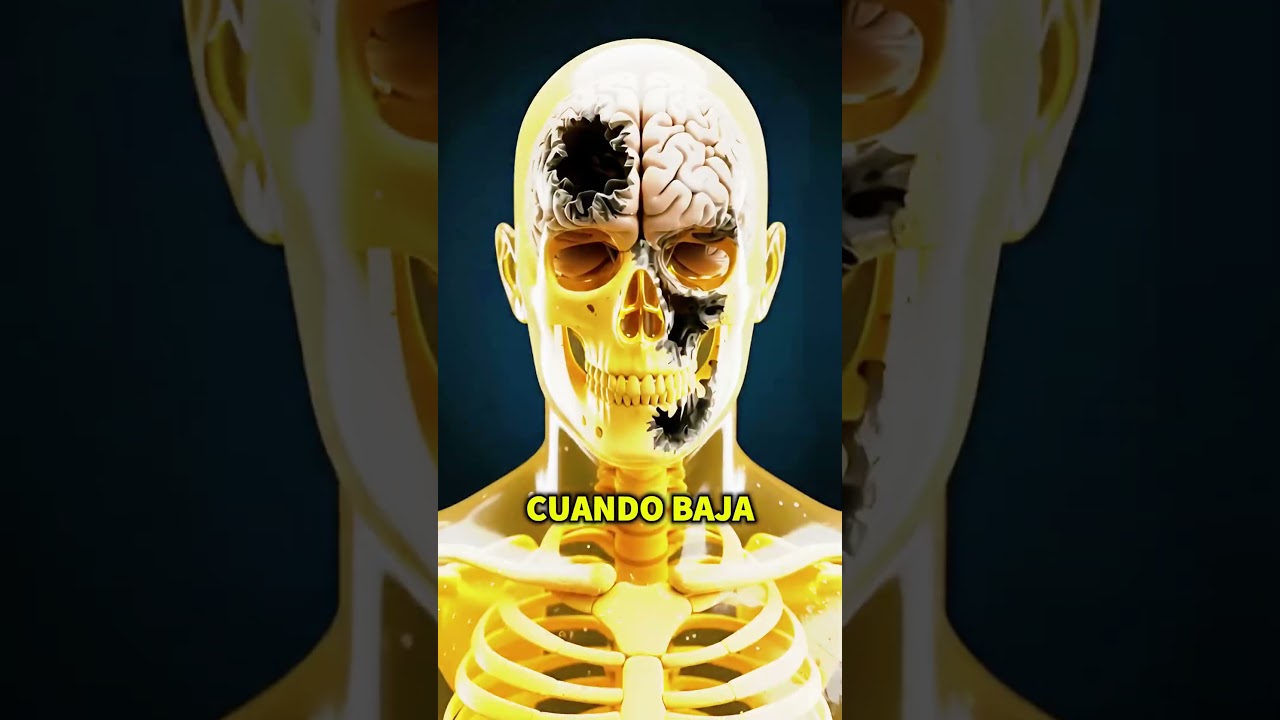 #DileNoALasDrogas