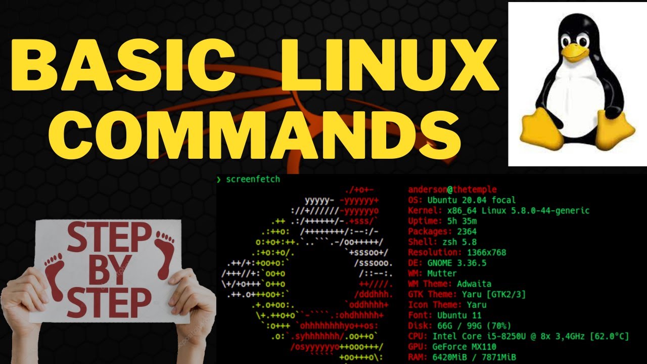 Basic Linux Commands You Should Know in 2021