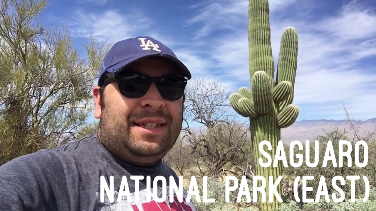 Saguaro National Park (East)