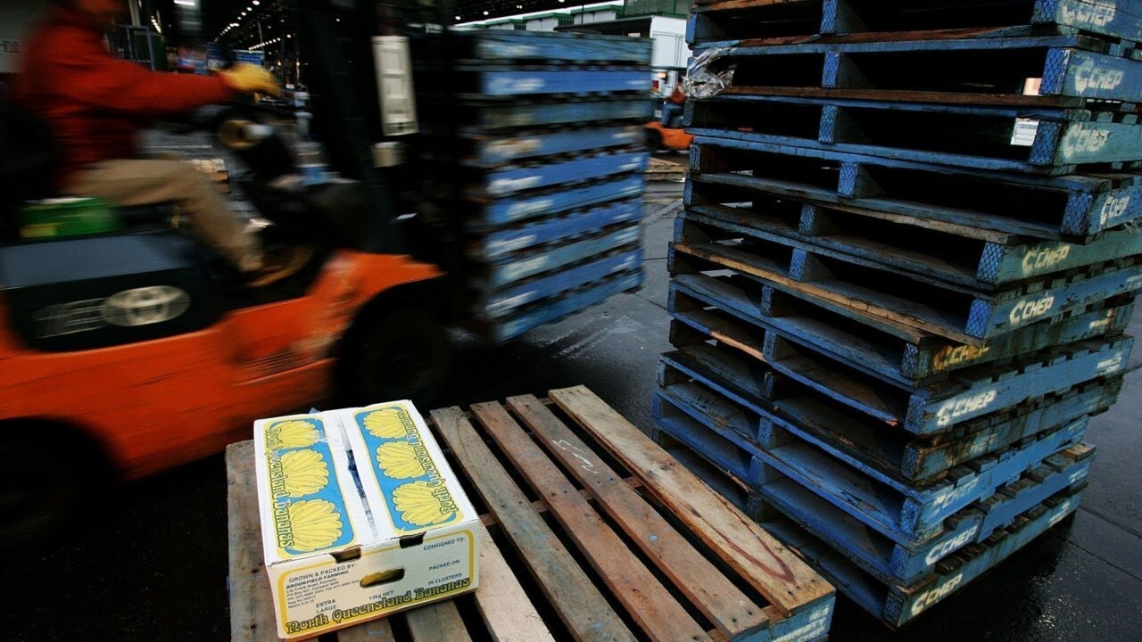 Pallet shortage causes supply chain chaos