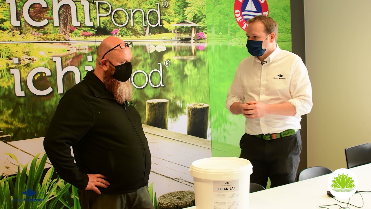 Comment traiter un étang naturel avec des bactéries clean-lac? Comment limiter la vase?