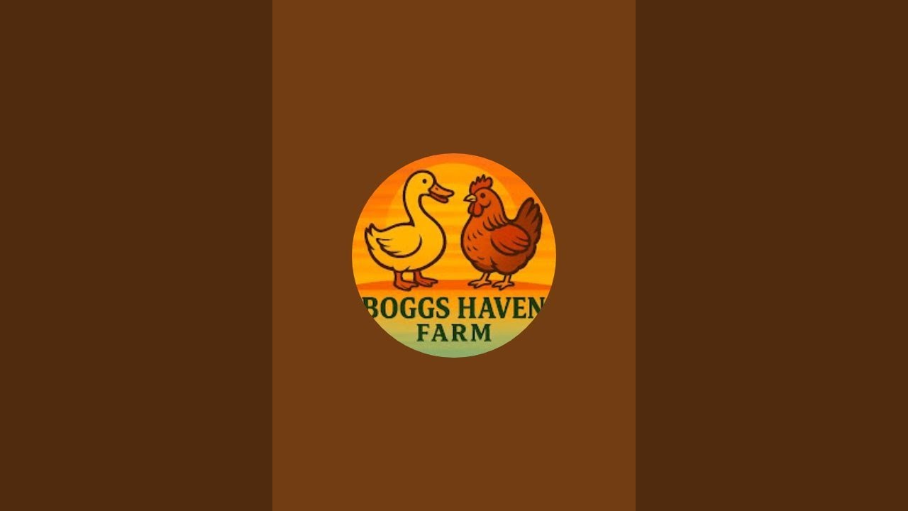 Happy Thanksgiving 🦃.