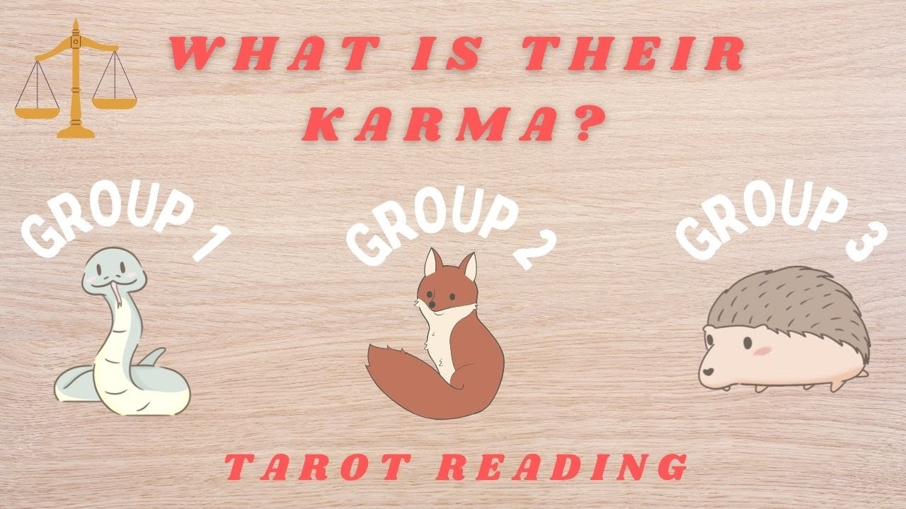 ⚖️ What Is Their Karma? ⚖️ (Tarot Reading)