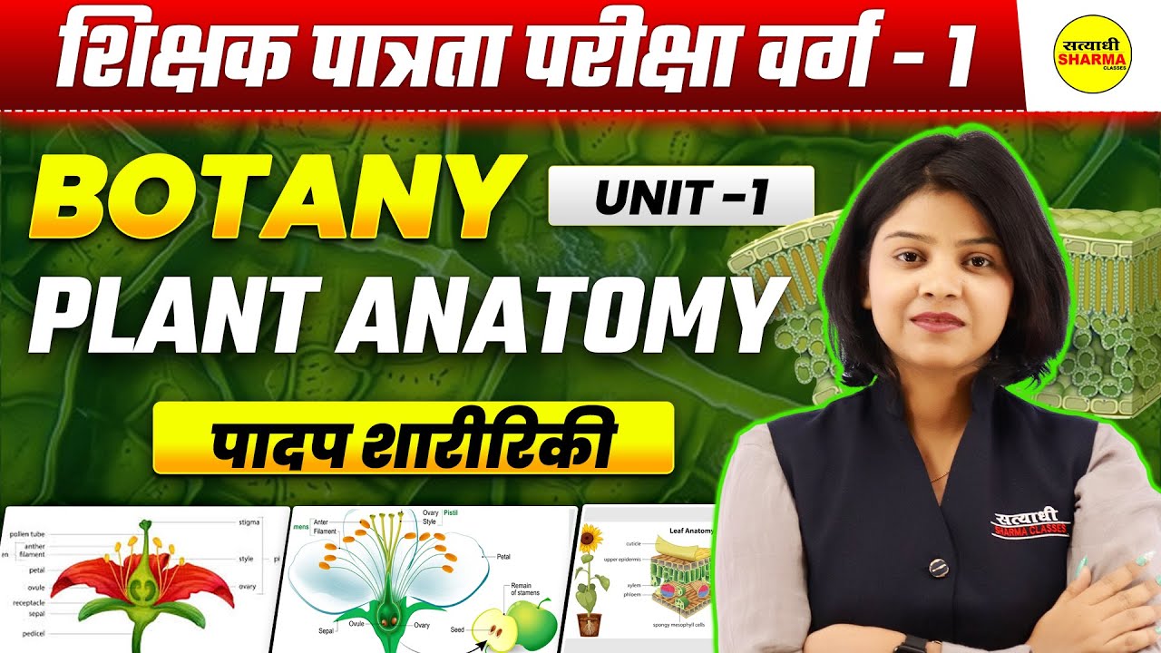 PLANT KINGDOM VARG-1 2025 | MPTET SHIKSHAK PATRATA/CHAYAN PARIKSHA  BY SHIRIN MA'AM